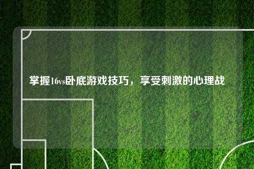 掌握16vs卧底游戏技巧,享受刺激的心理战